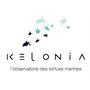 kelonia