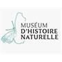 museum-d-histoire-naturelle-de-la-reunion