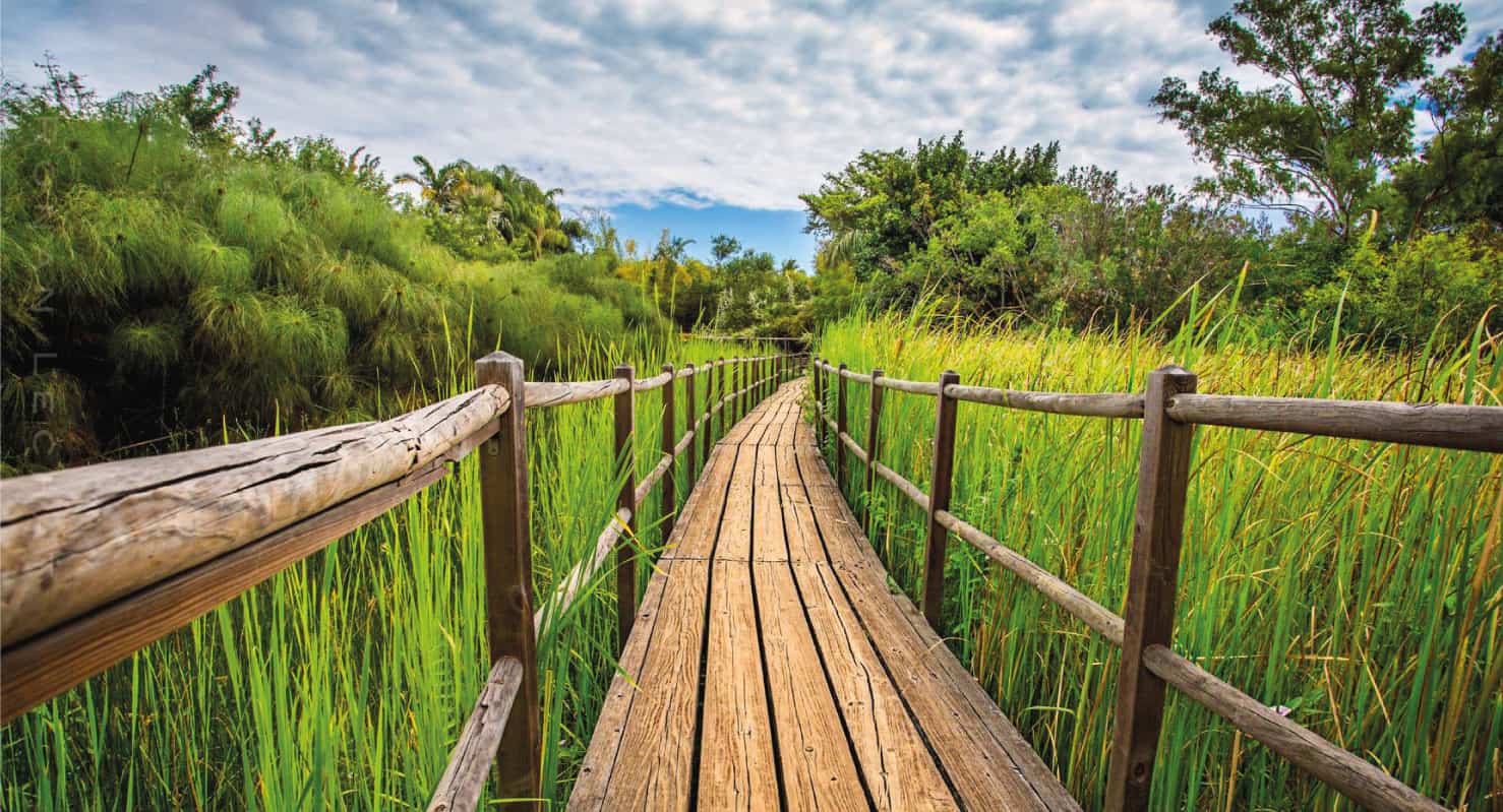 Photo du Jardin d'Eden à l'île de La Réunion