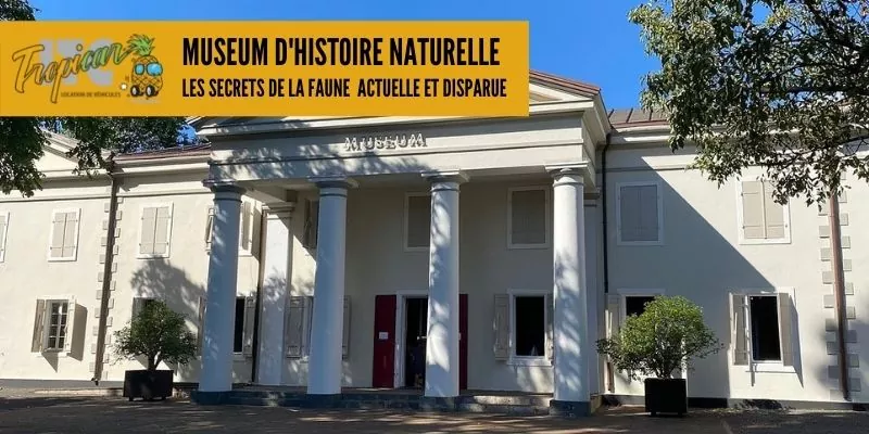 ITC Tropicar vous encourage à visiter ce Museum d'Histoire Naturelle dans le Jardin de l'Etat à Saint-Denis